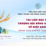 Tài Liệu Học Tập Thượng Hội Đồng Giám Mục Về Hiệp Hành Dành Cho Chủng Sinh Và Tu Sĩ