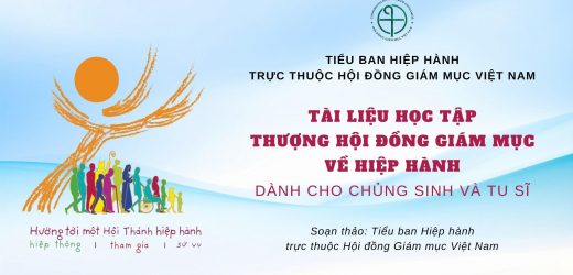 Tài Liệu Học Tập Thượng Hội Đồng Giám Mục Về Hiệp Hành Dành Cho Chủng Sinh Và Tu Sĩ