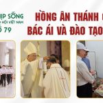 Hồng Ân Thánh Chức, Bác Ái Và Đào Tạo Mục Vụ: Nhịp Sống Giáo Hội Việt Nam Số 79 (16/5/2026 – 22/6/2026)