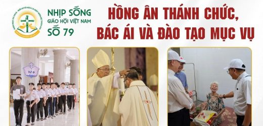 Hồng Ân Thánh Chức, Bác Ái Và Đào Tạo Mục Vụ: Nhịp Sống Giáo Hội Việt Nam Số 79 (16/5/2026 – 22/6/2026)