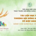 Tài Liệu Học Tập Thượng Hội Đồng Giám Mục Về Hiệp Hành Dành Cho Giám Mục Và Linh Mục