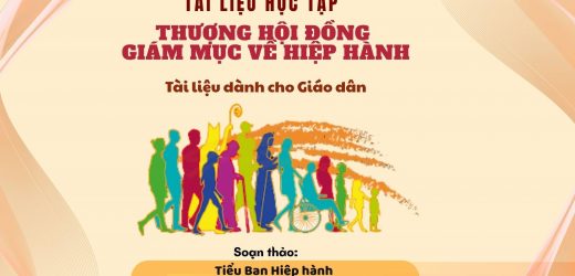 Tài Liệu Học Tập Thượng Hội Đồng Giám Mục Về Hiệp Hành Dành Cho Giáo Dân