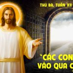 23.06.2026 – Thứ Ba Tuần XII Thường Niên, Năm A – Vào Qua Cửa Hẹp (Mt 7,6.12-14)