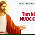 20.06.2026 – Thứ Bảy Tuần XI Thường Niên, Năm A – Tìm Kiếm Nước Chúa (Mt 6,24-34)