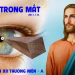 22.06.2026 – Thứ Hai Tuần XII Thường Niên, Năm A – Cái Xà Trong Mắt (Mt 7,1-5)