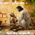 26.06.2026 – Thứ Sáu Tuần XII Thường Niên, Năm A – Người Đụng Vào Anh (Mt 8,1-4)