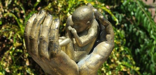Bảo Vệ Sự Sống – Lời Mời Gọi Của Đức Thánh Cha Trong Một Thế Giới Còn Nhiều Đe Dọa Đối Với Sự Sống
