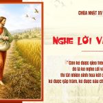 Chúa Nhật XV Thường Niên, Năm A (12.06.2026) – Nghe Lời Và Hiểu (Mt 13,1-23)