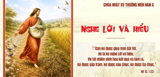 Chúa Nhật XV Thường Niên, Năm A (12.06.2026) – Nghe Lời Và Hiểu (Mt 13,1-23)