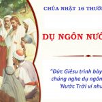 Chúa Nhật XVI Thường Niên, Năm A (19.06.2026) – Dụ Ngôn Nước Trời (Mt 13,24-43)