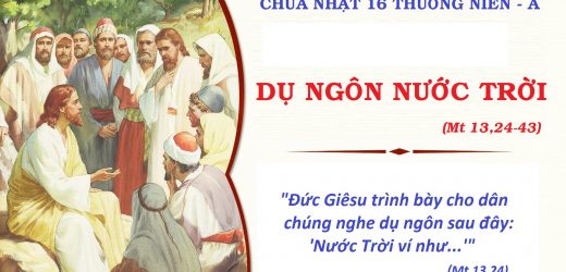 Chúa Nhật XVI Thường Niên, Năm A (19.06.2026) – Dụ Ngôn Nước Trời (Mt 13,24-43)