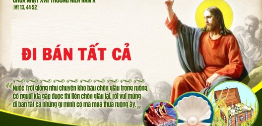 Chúa Nhật XVII Thường Niên, Năm A (26.07.2026) – Đi Bán Tất Cả (Mt 13,44-52)