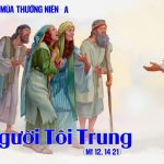 18.07.2026 – Thứ Bảy Tuần XV Thường Niên, Năm A – Đây Người Tôi Trung (Mt 12,14-21)