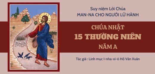 Chúa Nhật 15 Thường Niên Năm A – Man-na Cho Người Lữ Hành