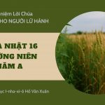 Chúa Nhật 16 Thường Niên A – Man-na Cho Người Lữ hành