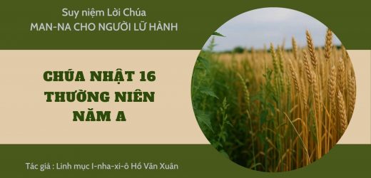 Chúa Nhật 16 Thường Niên A – Man-na Cho Người Lữ hành