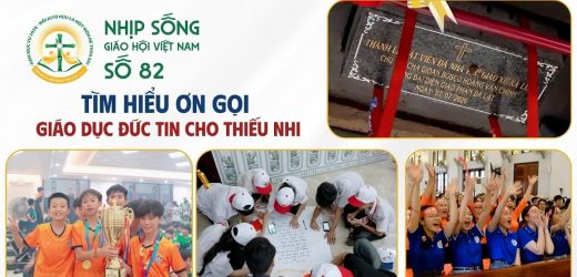Tìm Hiểu Ơn Gọi – Giáo Dục Đức Tin Cho Thiếu Nhi – Nhịp Sống Giáo Hội Việt Nam Số 82 (07/7/2026 – 13/7/2026)