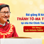 Nguyên Văn Bài Giảng Lễ Kính Thánh Tôma Tông Đồ Tại Nhà Thờ Chính Tòa Hà Nội Của Đức Hồng y Luis Antonio Gokim Tagle