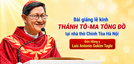 Nguyên Văn Bài Giảng Lễ Kính Thánh Tôma Tông Đồ Tại Nhà Thờ Chính Tòa Hà Nội Của Đức Hồng y Luis Antonio Gokim Tagle
