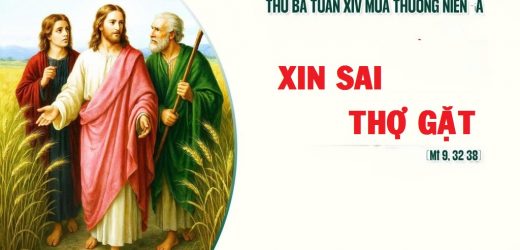 07.07.2026 – Thứ Ba Tuần XIV Thường Niên, Năm A – Xin Sai Thợ Gặt (Mt 9,32-38)