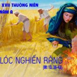 28.07.2026 – Thứ Ba Tuần XVII Thường Niên, Năm A – Khóc Lóc Nghiến Răng (Mt 13,36-43)