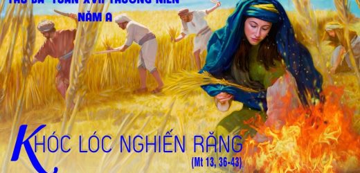 28.07.2026 – Thứ Ba Tuần XVII Thường Niên, Năm A – Khóc Lóc Nghiến Răng (Mt 13,36-43)
