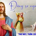 11.07.2026 – Thứ Bảy Tuần XIV Thường Niên, Năm A – Đừng Sợ Người Ta (Mt 10,24-33)