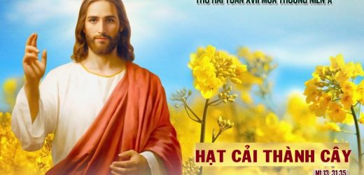27.07.2026 – Thứ Hai Tuần XVII Thường Niên, Năm A – Hạt Cải Thành Cây (Mt 13,31-35)