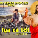 30.07.2026 – Thứ Năm Tuần XVII Thường Niên, Năm A – Chọn Lựa Cá Tốt (Mt 13,47-53)