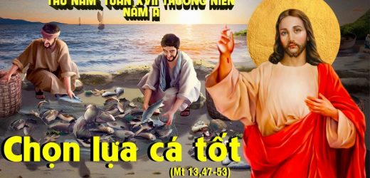 30.07.2026 – Thứ Năm Tuần XVII Thường Niên, Năm A – Chọn Lựa Cá Tốt (Mt 13,47-53)