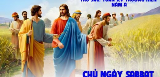 17.07.2026 – Thứ Sáu Tuần XV Thường Niên, Năm A – Chủ Ngày Sabbat (Mt 11,25-27)