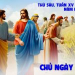 17.07.2026 – Thứ Sáu Tuần XV Thường Niên, Năm A – Chủ Ngày Sa-bát (Mt 12,1-8)