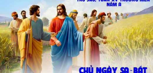17.07.2026 – Thứ Sáu Tuần XV Thường Niên, Năm A – Chủ Ngày Sa-bát (Mt 12,1-8)