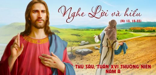 24.07.2026 – Thứ Sáu Tuần XVI Thường Niên, Năm A – Nghe Lời Và Hiểu (Mt 13,18-23)