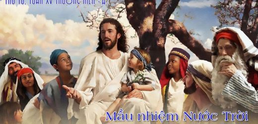15.07.2026 – Thứ Tư Tuần XV Thường Niên, Năm A – Mầu Nhiệm Nước Trời (Mt 11,25-27)