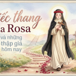 “Chiếc Thang” Của Rosa