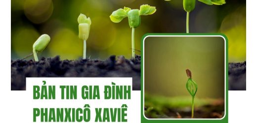 Gia Đình Phanxicô Xaviê – Bản Tin Tháng 7.2026