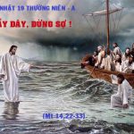 Chúa Nhật XIX Thường Niên, Năm A (09.08.2026) – Thầy Đây, Đừng Sợ ! (Mt 14,22-33)