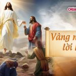 06.08.2026 – Lễ Chúa Hiển Dung, Năm A – Vâng Nghe Lời Người (Mt 17,1-9)