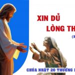 Chúa Nhật XX Thường Niên, Năm A (16.08.2026) – Xin Dủ Lòng Thương (Mt 15,21-28)