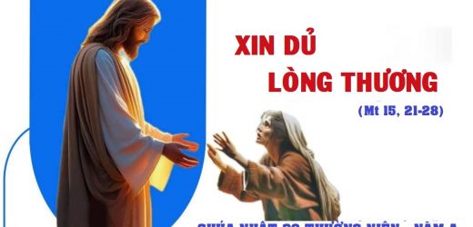 Chúa Nhật XX Thường Niên, Năm A (16.08.2026) – Xin Dủ Lòng Thương (Mt 15,21-28)