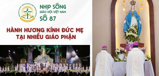 Hành Hương Kính Đức Mẹ Tại Nhiều Giáo Phận – Nhịp Sống Giáo Hội Việt Nam Số 87 (11/8/2026 – 17/8/2026)