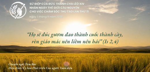 Sứ Điệp Đức Thánh Cha Nhân Ngày Thế Giới Cầu Nguyện Cho Việc Chăm Sóc Thụ Tạo Năm 2026: “Họ Sẽ Đúc Gươm Đao Thành Cuốc Thành Cày, Rèn Giáo Mác Nên Rèn Nên Hái”