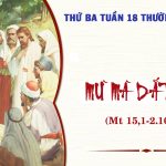 04.08.2026 – Thứ Ba Tuần XVII Thường Niên, Năm A – Mù Mà Dắt Mù (Mt 15,1-2.10-14)