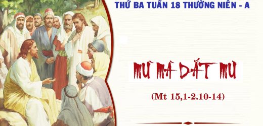 04.08.2026 – Thứ Ba Tuần XVII Thường Niên, Năm A – Mù Mà Dắt Mù (Mt 15,1-2.10-14)