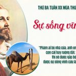 18.08.2026 – Thứ Ba Tuần XX Thường Niên, Năm A – Sự Sống Vĩnh Cửu (Mt 19,23-30)