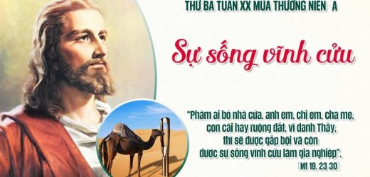 18.08.2026 – Thứ Ba Tuần XX Thường Niên, Năm A – Sự Sống Vĩnh Cửu (Mt 19,23-30)