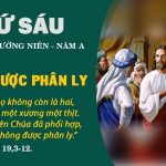 14.08.2026 – Thứ Sáu Tuần XIX Thường Niên, Năm A – Không Được Phân Ly (Mt 19,3-12)