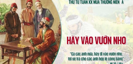 19.08.2026 – Thứ Tư Tuần XX Thường Niên, Năm A – Hãy Vào Vườn Nho (Mt 20,1-16a)