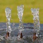 Giá Trị Của Nước: Từ Nguồn Sống Đến Trách Nhiệm Chăm Sóc Ngôi Nhà Chung